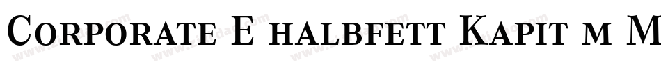Corporate E halbfett Kapit m Medziff字体转换